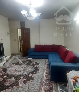 49 متر/خوش نقشه/طیب