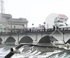 تهاترباواحدنوسازدرمتل قو18متربرتجاری شهسوار.مالکم