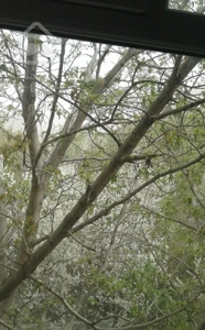 74 متر آپارتمان با ویو بی نظیر و ابدی در سولقان