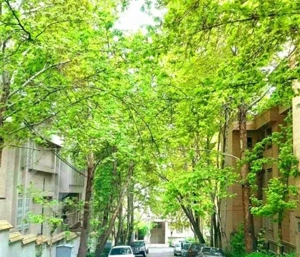 150متر صاحبقرانیه 2پارکینگ/لابی+استخرفعال+اجتماعات