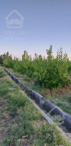 باغ ویلایی ۶۰۰مترکنار جاده اصلی،شبستر ،علبیگلو