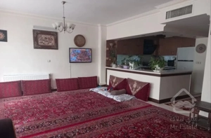 ۱۱۰ متری تک واحدی با ۳۰ متر تراس لوکیشن رودکی