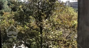 سه خوابه ۱۳۵ متری
