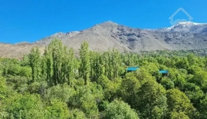 ۹۵۰ متر زمین در امامه