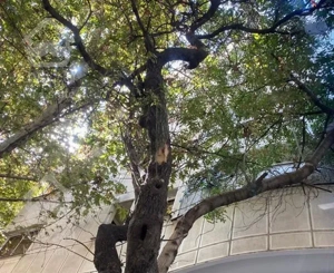 آپارتمان ۱۷۵ متر مهماندوست