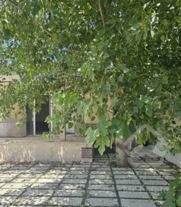 ویلا ۲۸۰متری،۲خواب،۵ دقیقه‌ای ساحل