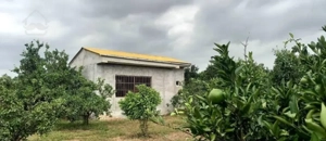 ویلاباغ با درختان مشجر و بارور/معامله پرس*ود/کاسبی