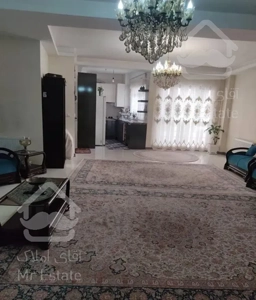 ۱۱۰ متر فول در نارمک جنوبی خ قریشی