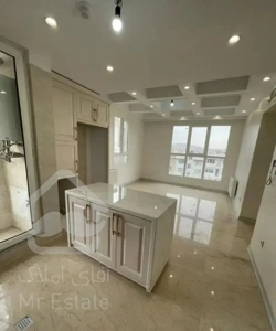 ۶۰ متر ویو دار، دریاچه چیتگر، زیر نظر وزارت تعاون