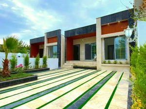 همکف نمامدرن / سنددار / جاده جنگلی نور