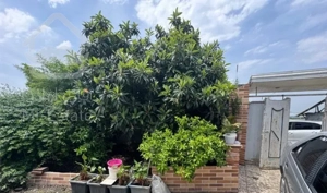 فروش خانه باغ ۲۰۰۰متری با امکانات کامل جاده نظامی