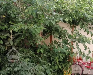 آپارتمان 100متری فاز 4مهرشهر