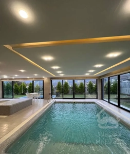 داخلش شبیه فیلمای اروپاییه/دو استخر/تریبلکس/لاویج