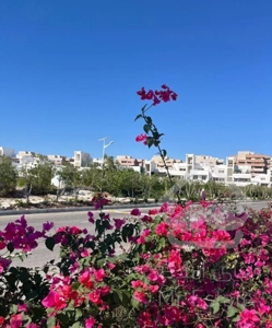 ویلای دهکده ساحلی(میرزایی)