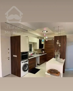 ۷۵متری ونک شیخ بهایی شمالی