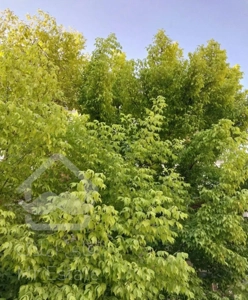 اپارتمان شهرک امام حسین