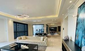 **فقط یک عدد در دنیا**