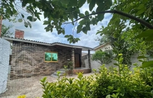 ویلا باغچه سرسبزو دلبازباسندعرصه عیان جنگلی ساحلی