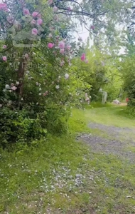 خونه باغ سرسبز/فومن