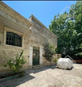 میلا باغ، 115متر، محمودیه