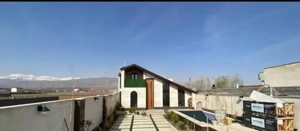 250متری سند تک برگ