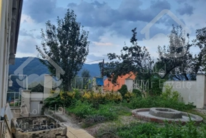 اجاره سوییت جنگلی