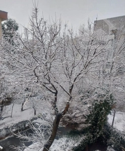 پیش فروش آپارتمان ۱۲۰متری تک واحد خیابان پیراینده