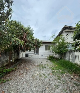 فروش ویلا باغ نقلی محموداباد مدارک کاما