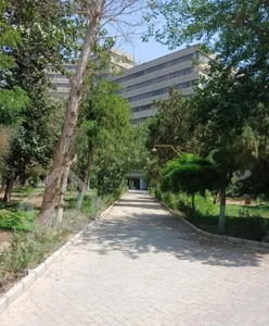 دو خوابه فاز ۲