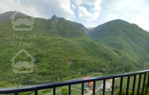 جنگلی با تراس بزرگ