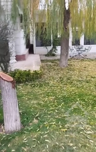 فروش ویلای 1000 متری مشجر / قابل تهاتر