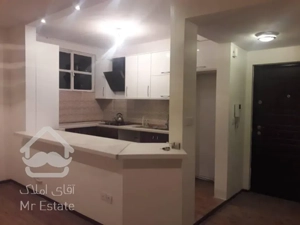 اجاره آپارتمان ۵۳ متری سعادت آباد