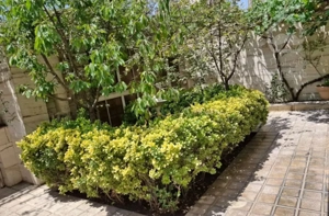 ۹۳متر سنددار شبنم ۳