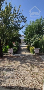 فروش ویلای جنگلی