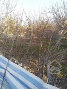 زمین باغی به متراژ۶۰۰مترچهاردیواری.بهترین نقطه محمداباد.دارای اب برق گازوسندبه فروش میرسد