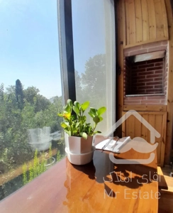 ۱۶۵ متر/اراج/تراس دیزاین تمام چوب/مبله/مجرد موجه