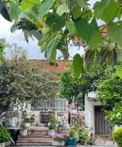 ویلای ۳۱۰ متری حیاط دار با ویو ابدی