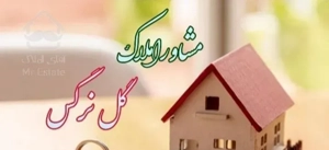 کوچه محمدیه تهران قدیم پیرحصار۷۳