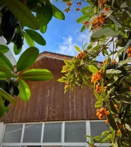 اجاره خالی ویلایی