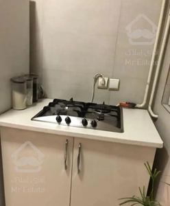 فردوس غرب 55 متر بازسازی شده مجرد موجه