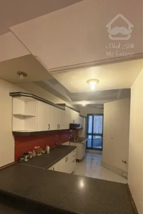 ولنجک۱۲۵متر/فرعی ساسان(سرمایه گذاری)