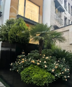 ۲۳۰ متری ، چهار خواب ، نیاوران