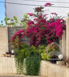 فروش آپارتمان ۲خوابه شهرک گلستان