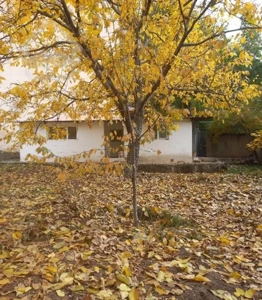 زمین لواسان برگجهان ۴۶۲ متر داخل بافت