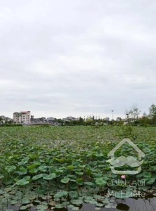 واحد کلید نخورده مسکن مهر