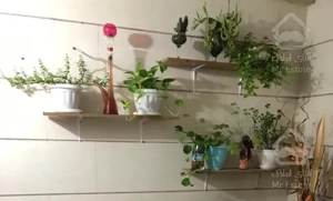 شهرزیبا آلاله 58متر4ساله فول