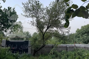 اجاره‌ روزانه ویلا نزدیک دریا و رودخانه