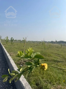 فروش ۷۰۰ متر زمین در جاده سرخرود