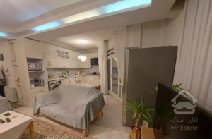 ۸۰ متر  دو خواب فرعی زوج گیشا