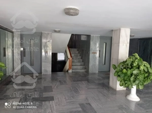 اجاره و رهن آپارتمان آرژانتین 300  متر اکازيون